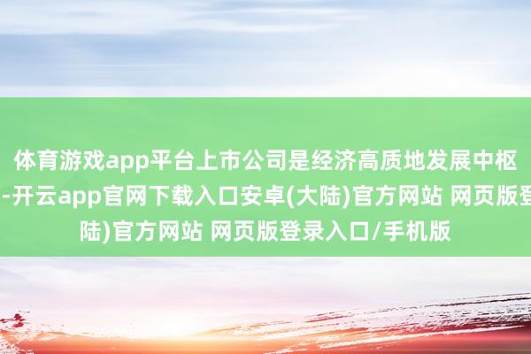 体育游戏app平台上市公司是经济高质地发展中枢引擎的关节变装-开云app官网下载入口安卓(大陆)官方网站 网页版登录入口/手机版