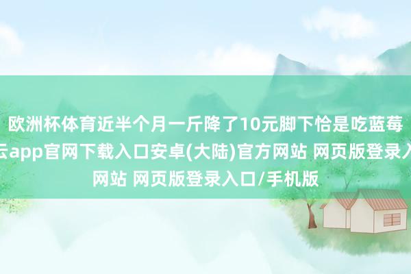 欧洲杯体育近半个月一斤降了10元脚下恰是吃蓝莓的时节-开云app官网下载入口安卓(大陆)官方网站 网页版登录入口/手机版